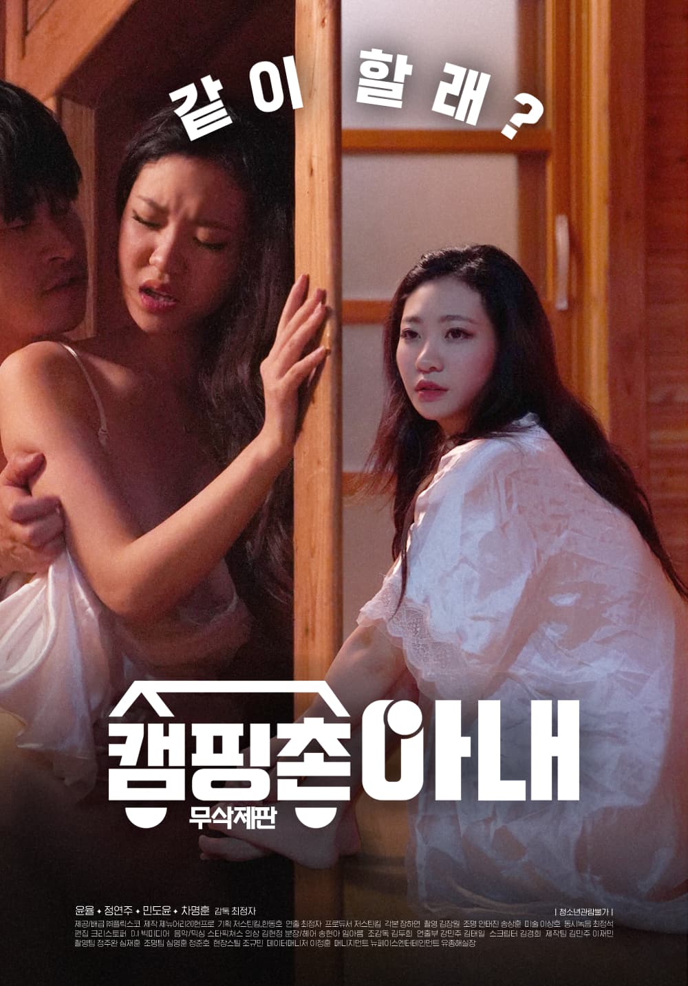 캠핑촌 아내 무삭제판 포스터