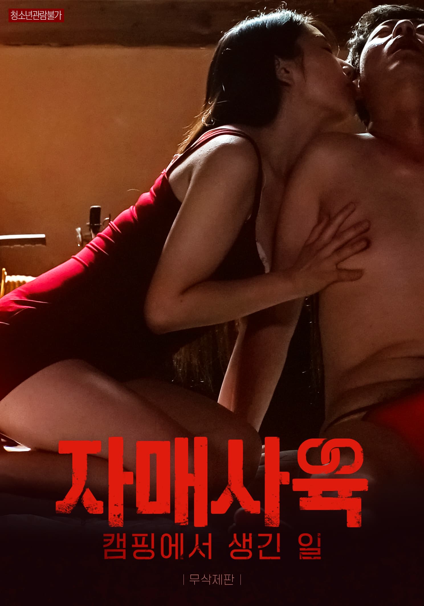 자매사육 :캠핑에서 생긴일 무삭제판 포스터